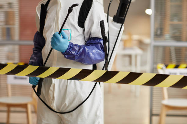 Professional Hoarding Cleanup technician working in Central Islip, NY